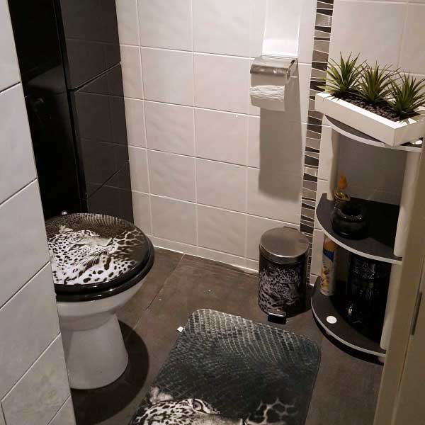 Rénovation de sanitaires WC Mougins